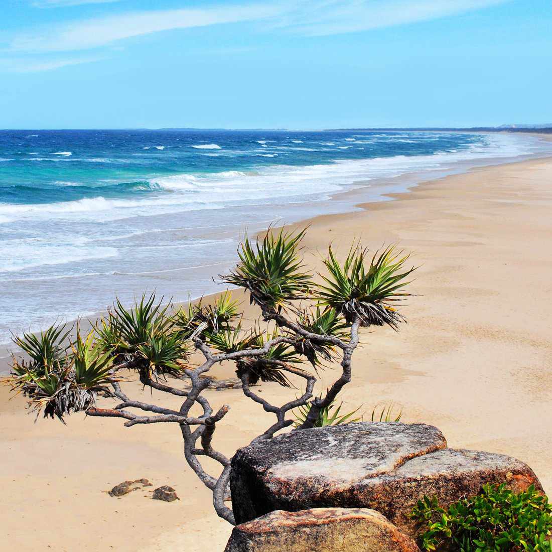 Coolum Beach, Square Canvas Art - Wall Art Designs - 1036_AS_Q WAD_CP - MPY - 260 - M - S - S_30x30_NONE