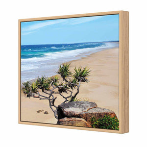 Coolum Beach, Square | Classic Canvas | Floating Frame | Oak