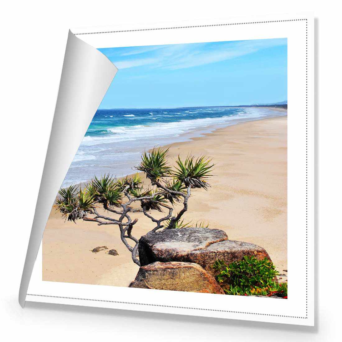 Coolum Beach, Square | Classic Canvas | No Frame | Rolled Canvas