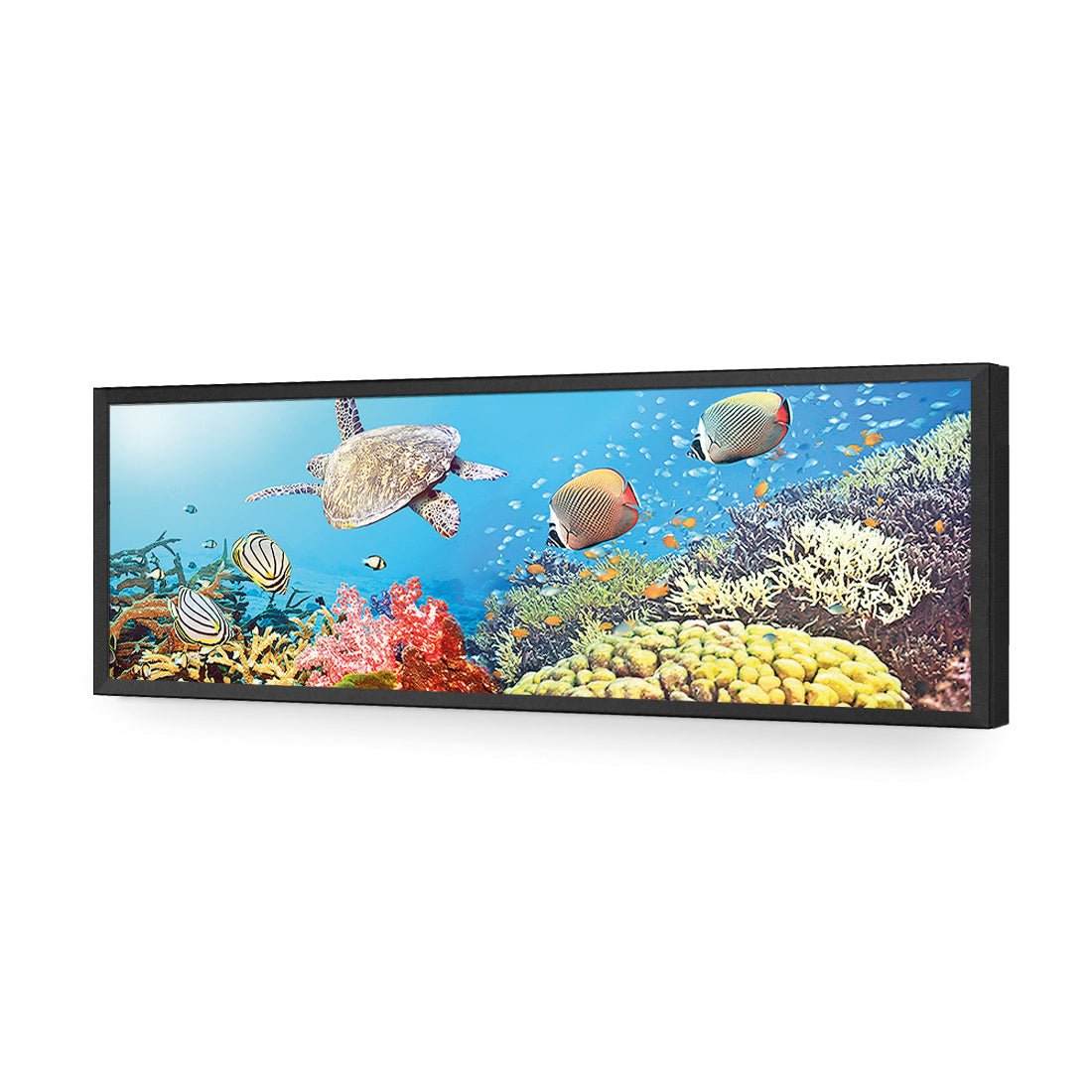 Coral Sea (Long) - Wall Art Designs - 1209_AL_H WAD_AP - 030 - EDG_90x30_S - 2538 - BLK