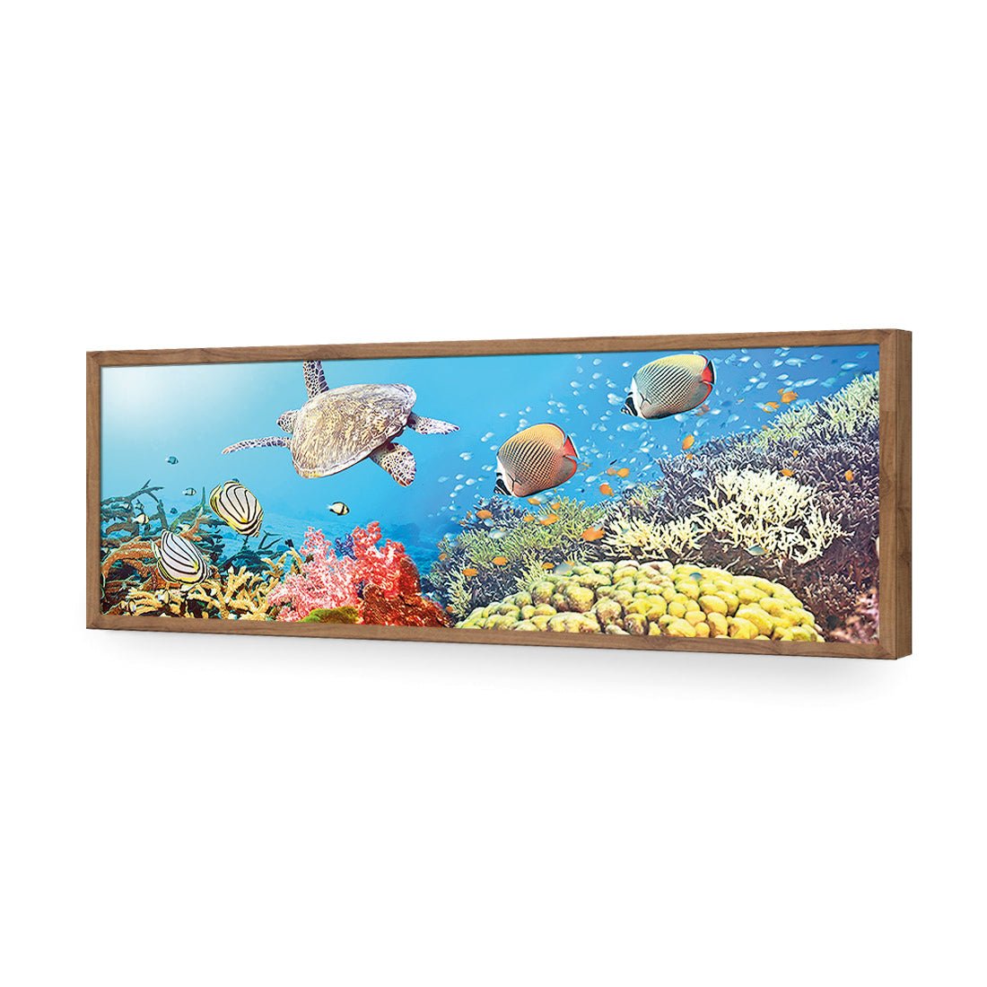 Coral Sea (Long) - Wall Art Designs - 1209_AL_H WAD_AP - 030 - EDG_90x30_S - 2538 - NAT