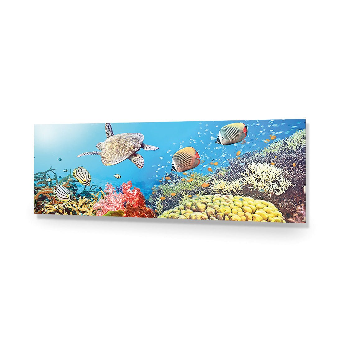 Coral Sea (Long) - Wall Art Designs - 1209_AL_H WAD_AP - 030 - EDG_90x30_NONE