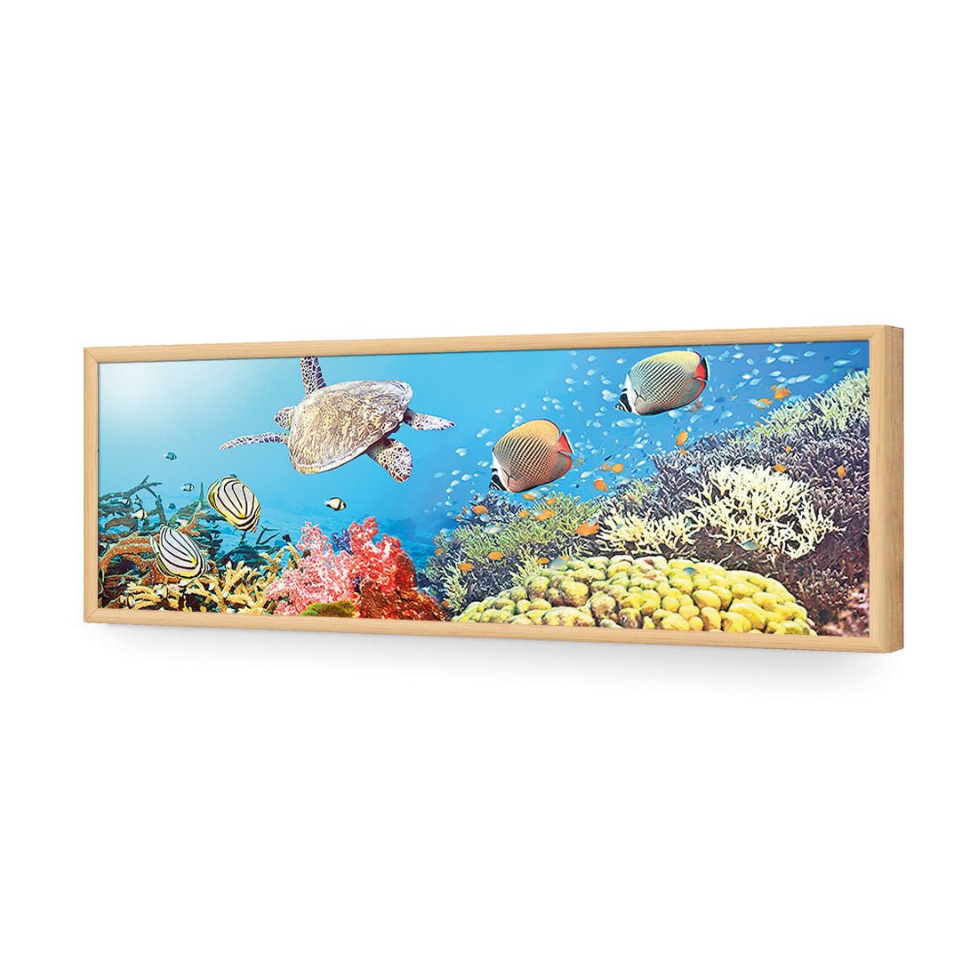 Coral Sea (Long) - Wall Art Designs - 1209_AL_H WAD_AP - 030 - EDG_90x30_S - 2538 - OAK