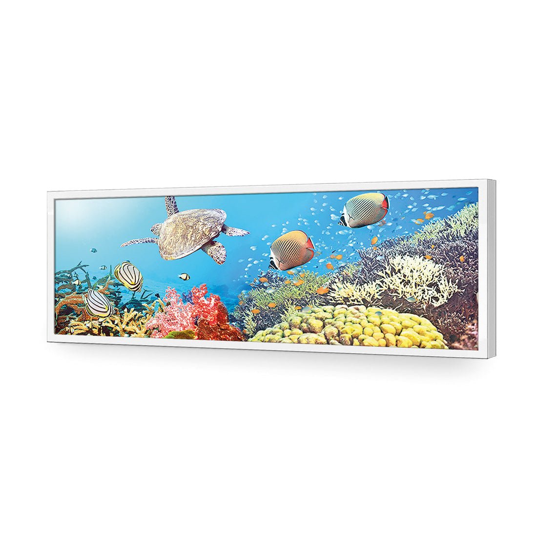 Coral Sea (Long) - Wall Art Designs - 1209_AL_H WAD_AP - 030 - EDG_90x30_S - 2538 - WHT