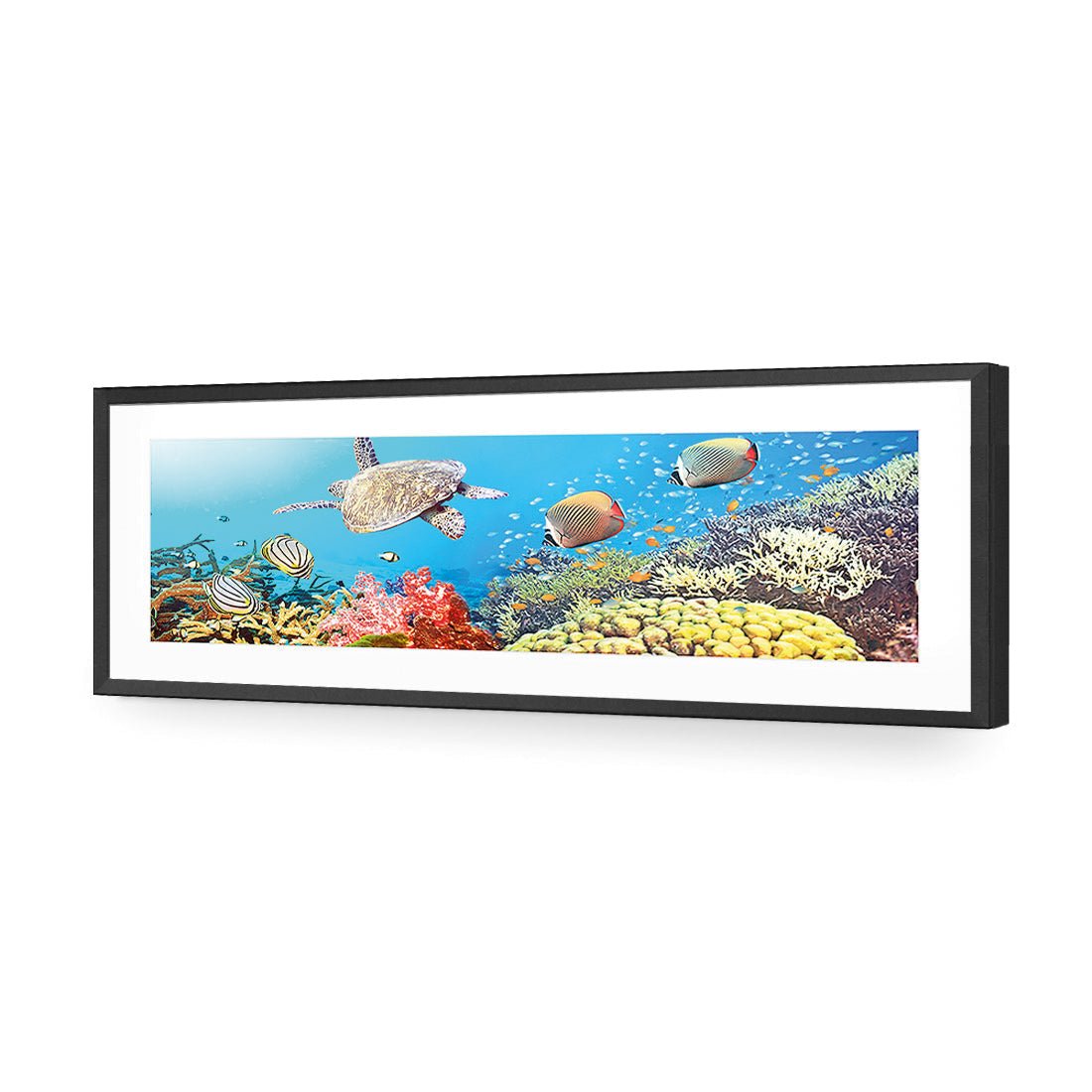 Coral Sea (Long) - Wall Art Designs - 1209_AL_H WAD_AP - 030 - MAT_90x30_S - 2538 - BLK