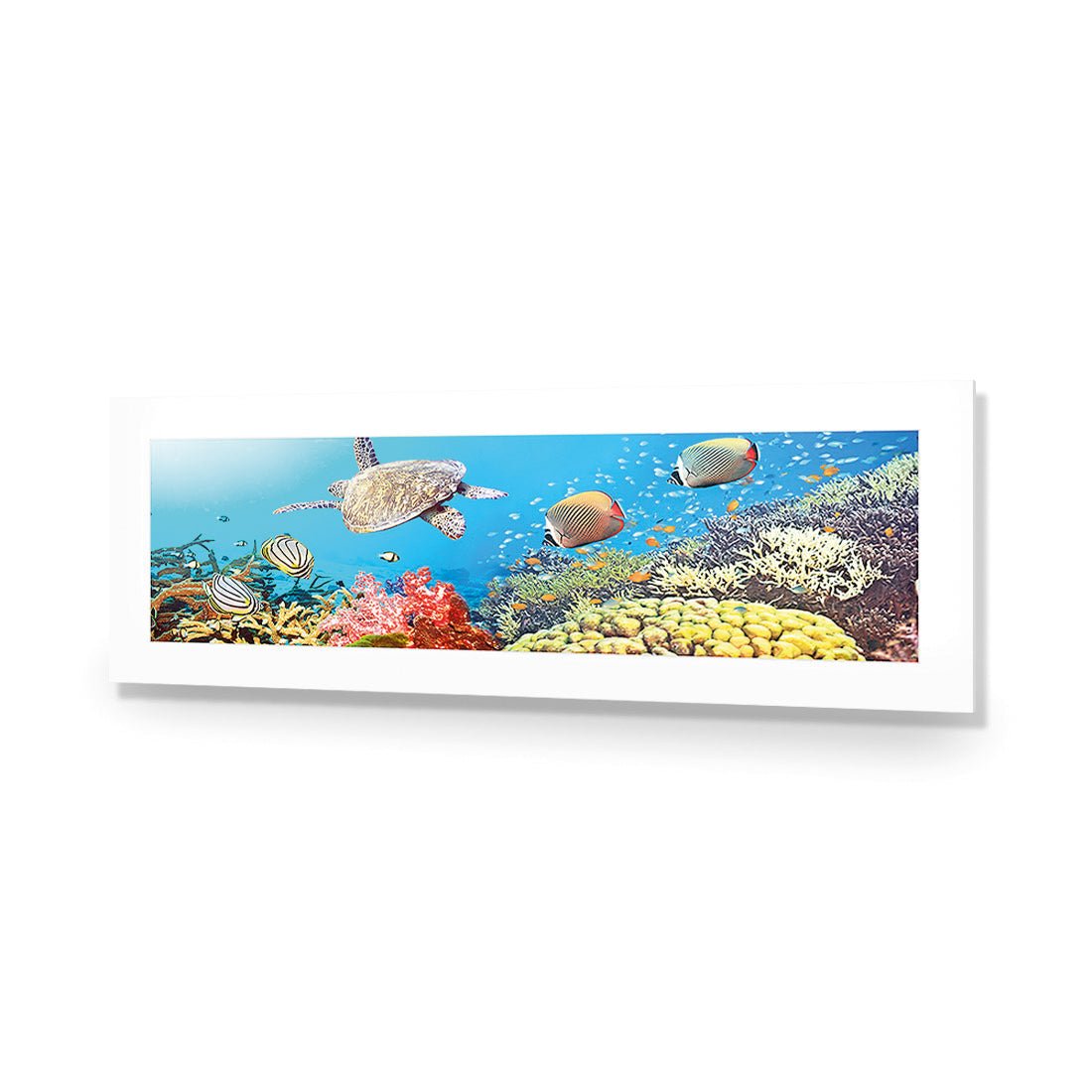 Coral Sea (Long) - Wall Art Designs - 1209_AL_H WAD_AP - 030 - MAT_90x30_NONE