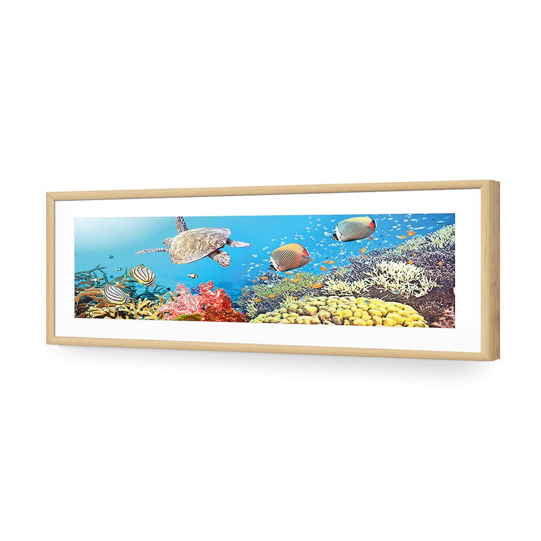 Coral Sea (Long) - Wall Art Designs - 1209_AL_H WAD_AP - 030 - MAT_90x30_S - 2538 - OAK