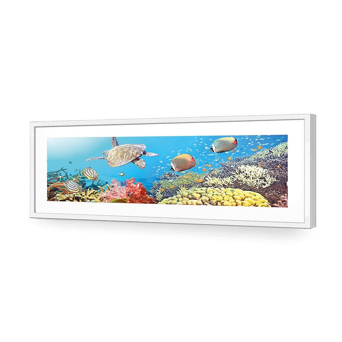 Coral Sea (Long) - Wall Art Designs - 1209_AL_H WAD_AP - 030 - MAT_90x30_S - 2538 - WHT