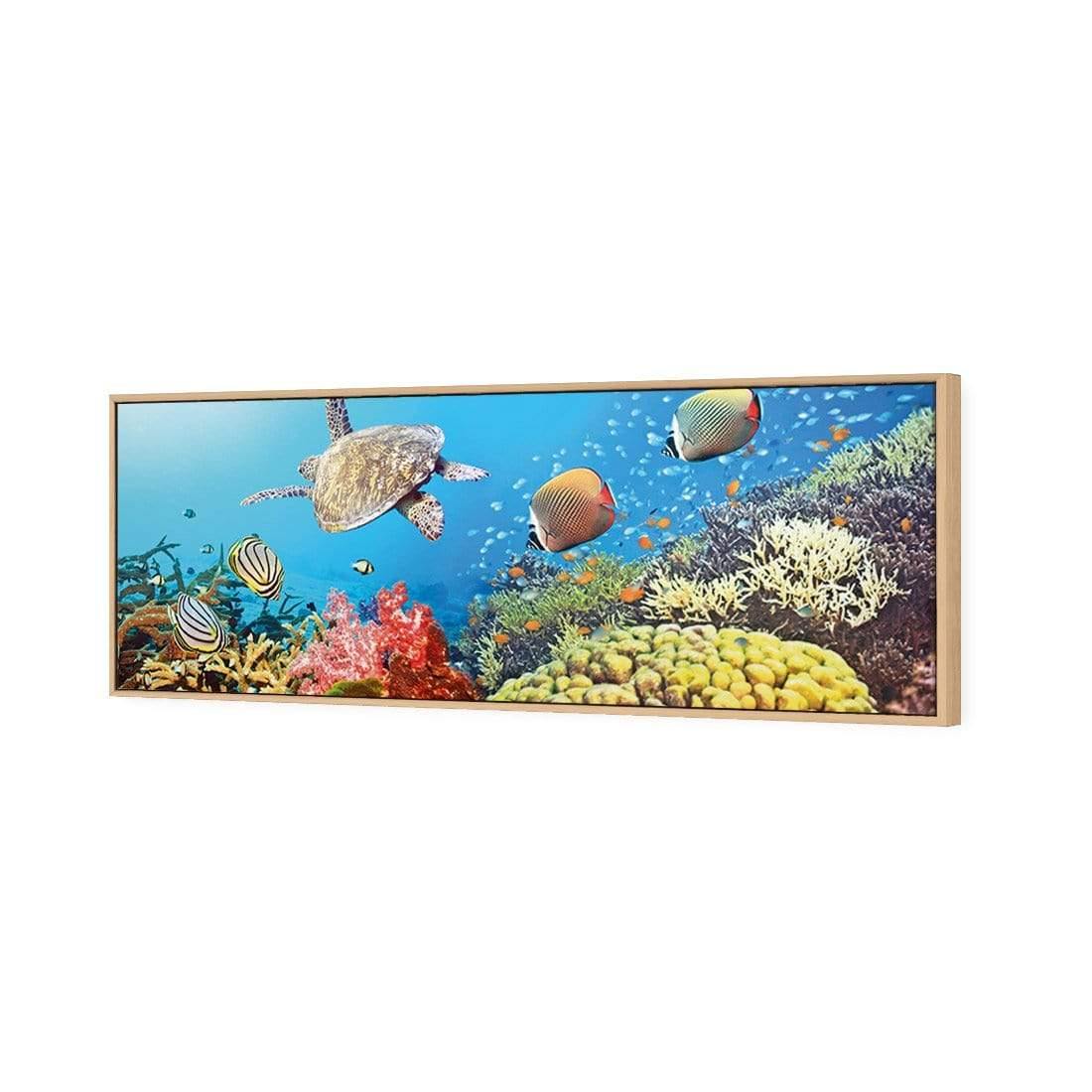 Coral Sea (Long) - Wall Art Designs - 1209_AL_H WAD_CP - MPY - 260 - M - S - S_60x20_S - 1550 - OAK