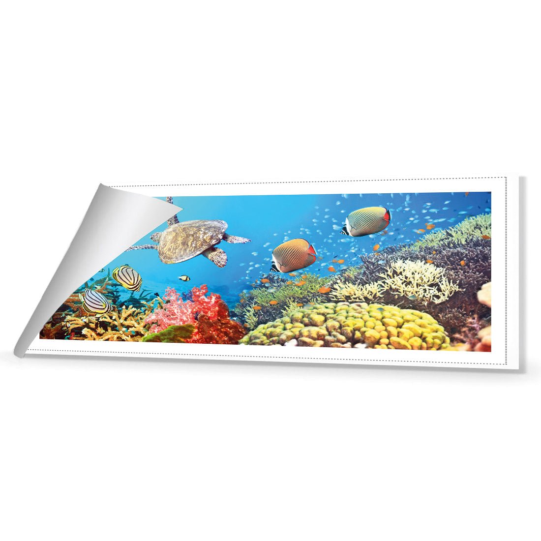 Coral Sea (Long) - Wall Art Designs - 1209_AL_H WAD_CP - MPY - 260 - M - R_60x20_NONE