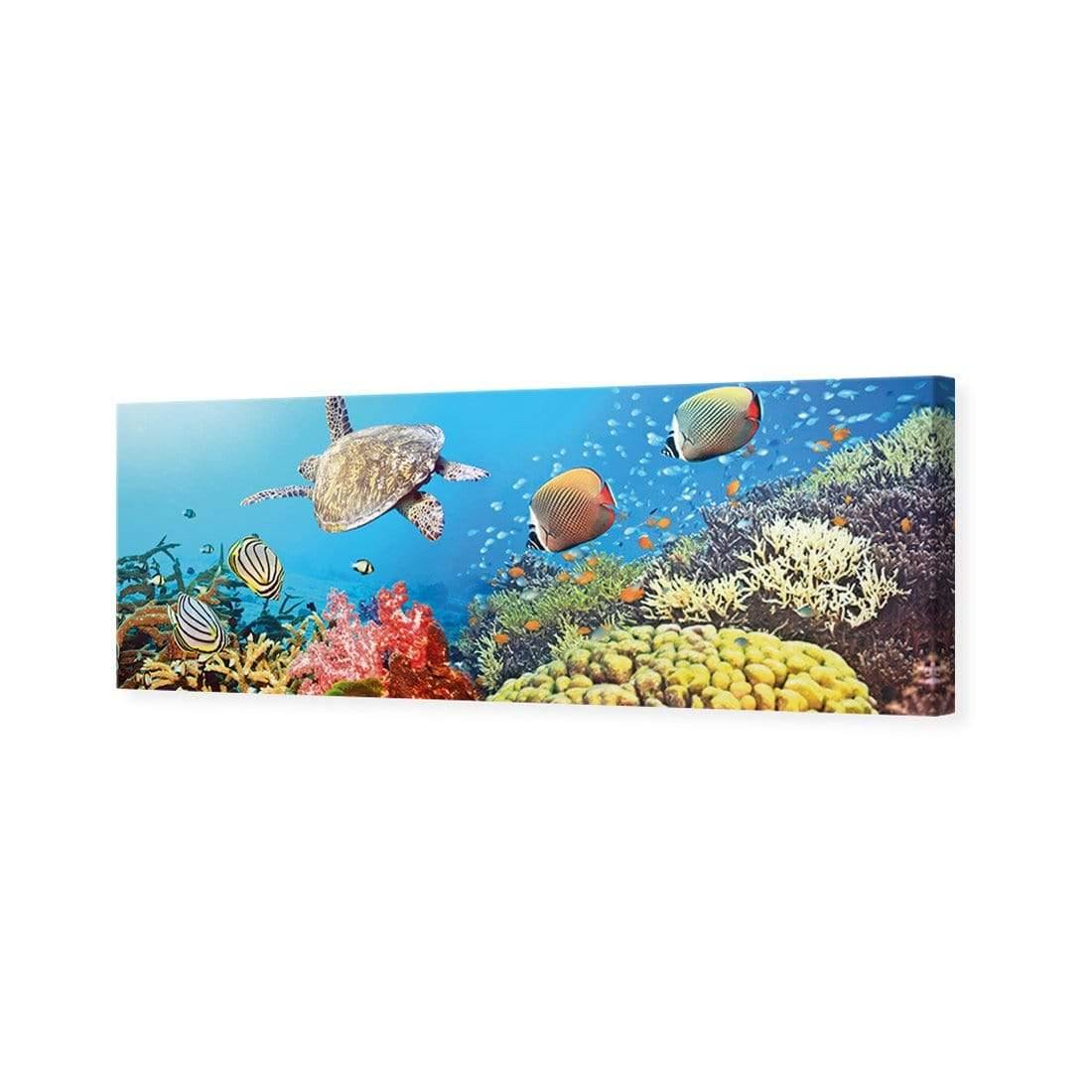 Coral Sea (Long) - Wall Art Designs - 1209_AL_H WAD_CP - MPY - 260 - M - S - S_60x20_NONE