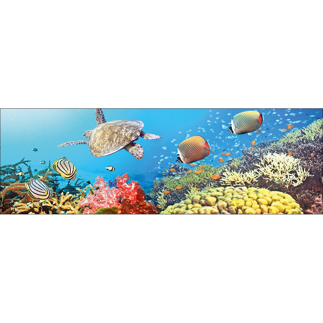 Coral Sea (Long) - Wall Art Designs - 1209_AL_H WAD_CP - MPY - 260 - M - S - S_60x20_NONE