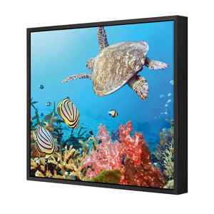 Coral Sea, Square | Standard Canvas | Floating Frame | Black