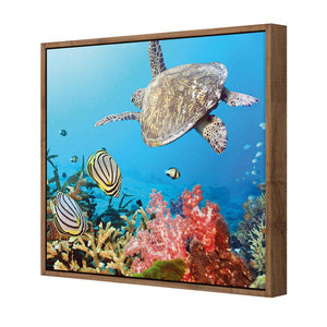 Coral Sea, Square | Standard Canvas | Floating Frame | Natural