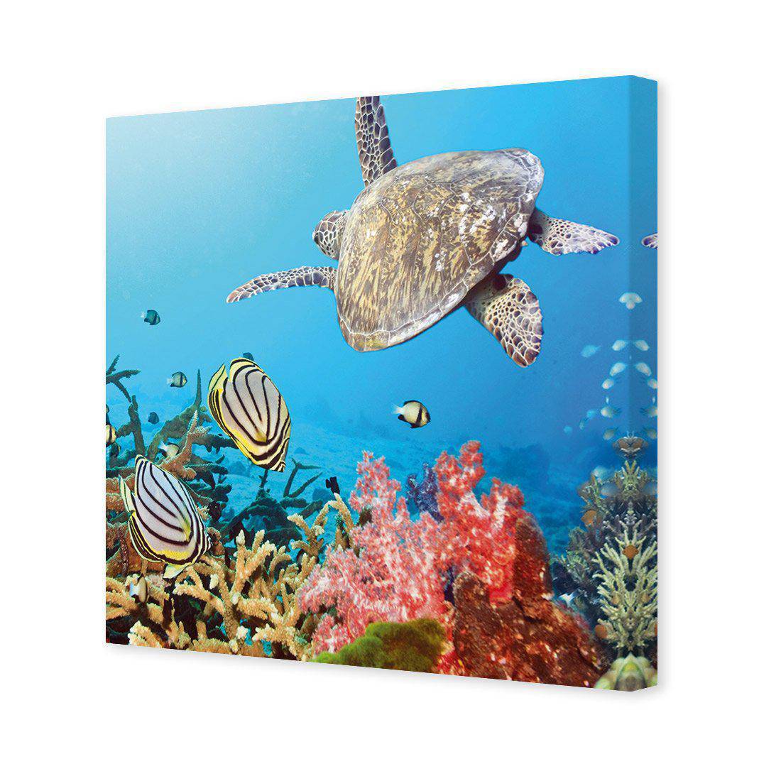 Coral Sea, Square | Standard Canvas | No Frame | Stretched Canvas