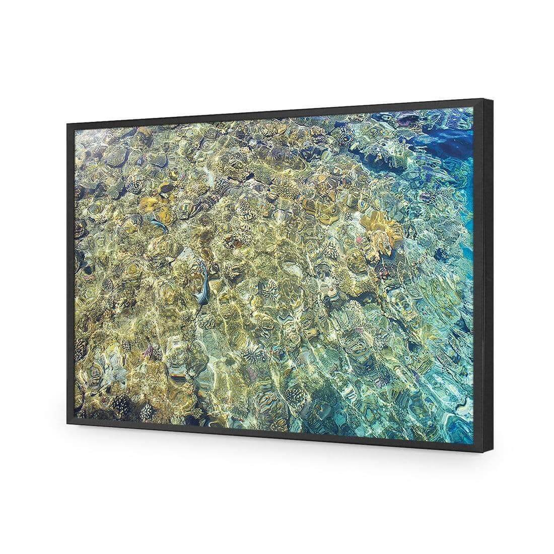 Coral Shallows | Classic Acrylic | Flat Frame No Border | Black