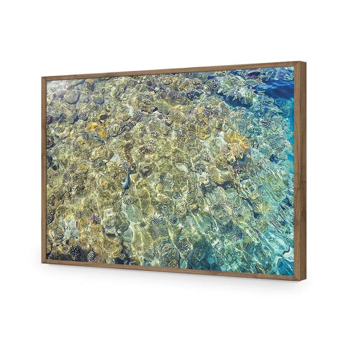 Coral Shallows | Classic Acrylic | Flat Frame No Border | Natural