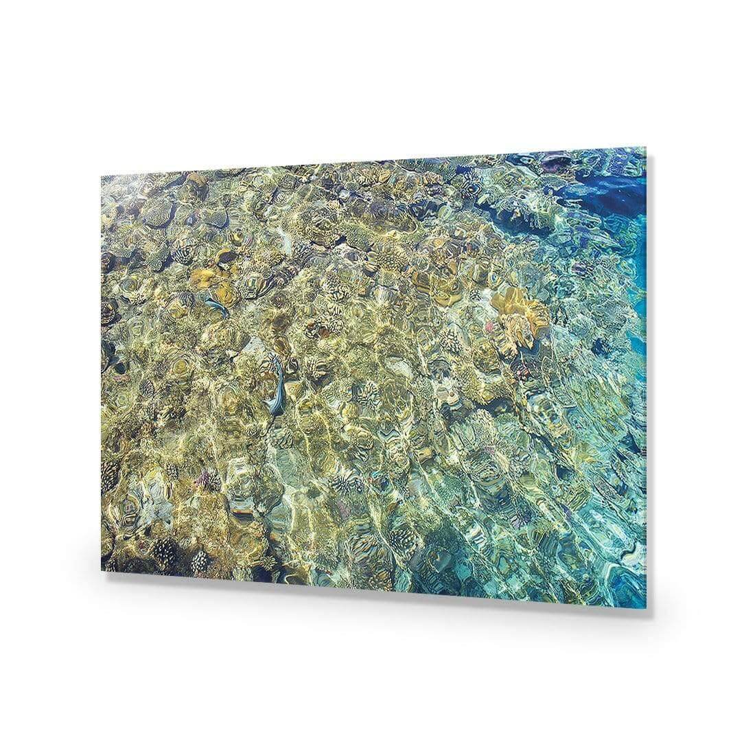 Coral Shallows - Wall Art Designs - AU_1017_AR_H WAD_AP - 030 - EDG_45x30_NONE