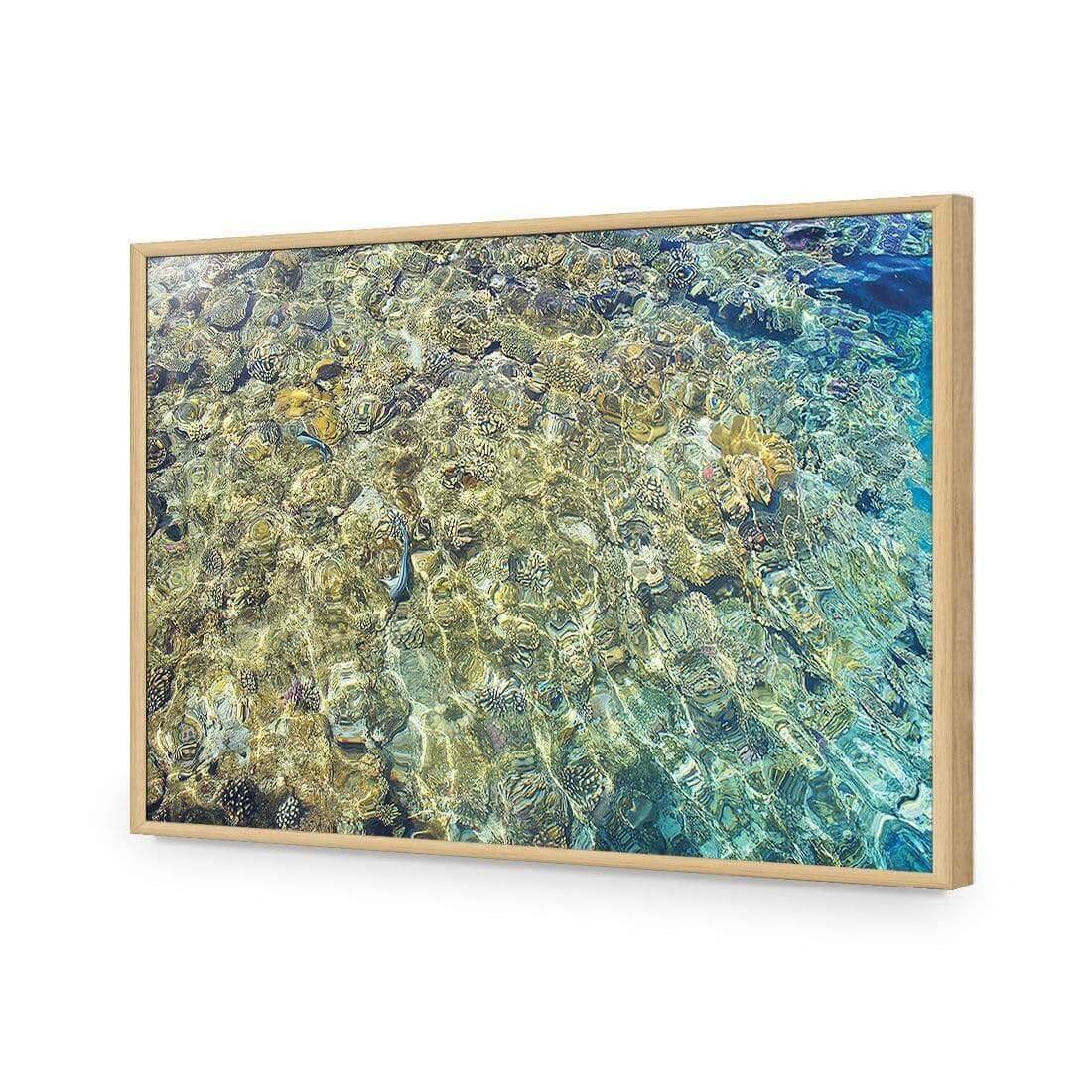 Coral Shallows - Wall Art Designs - AU_1017_AR_H WAD_AP - 030 - EDG_45x30_S - 2538 - OAK