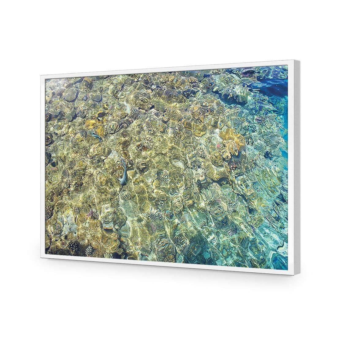 Coral Shallows | Classic Acrylic | Flat Frame No Border | White