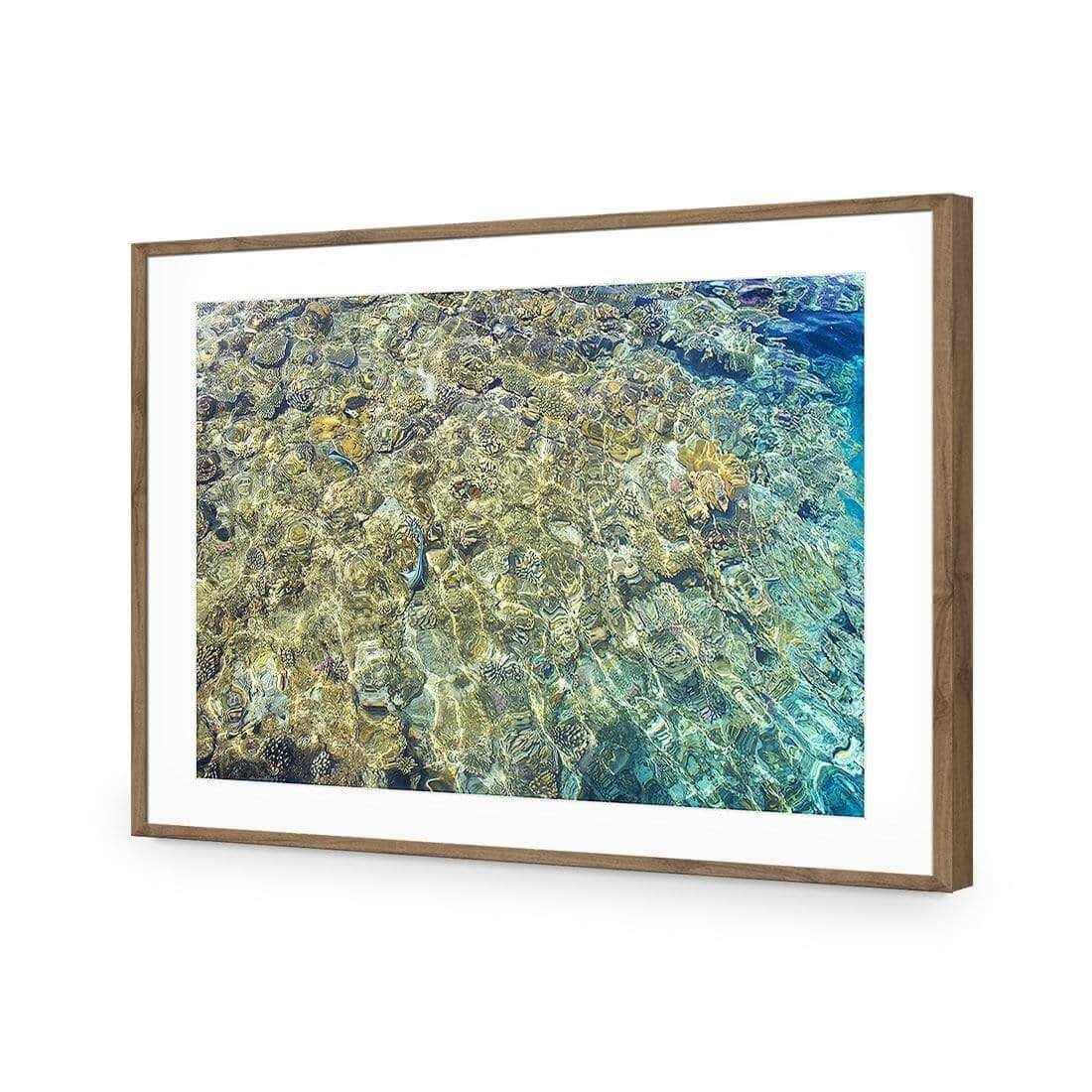 Coral Shallows - Wall Art Designs - AU_1017_AR_H WAD_AP - 030 - MAT_45x30_S - 2538 - NAT