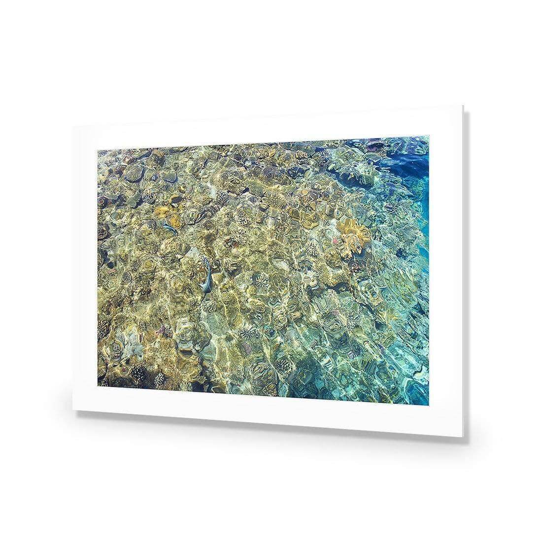 Coral Shallows | Classic Acrylic | No Frame With Border