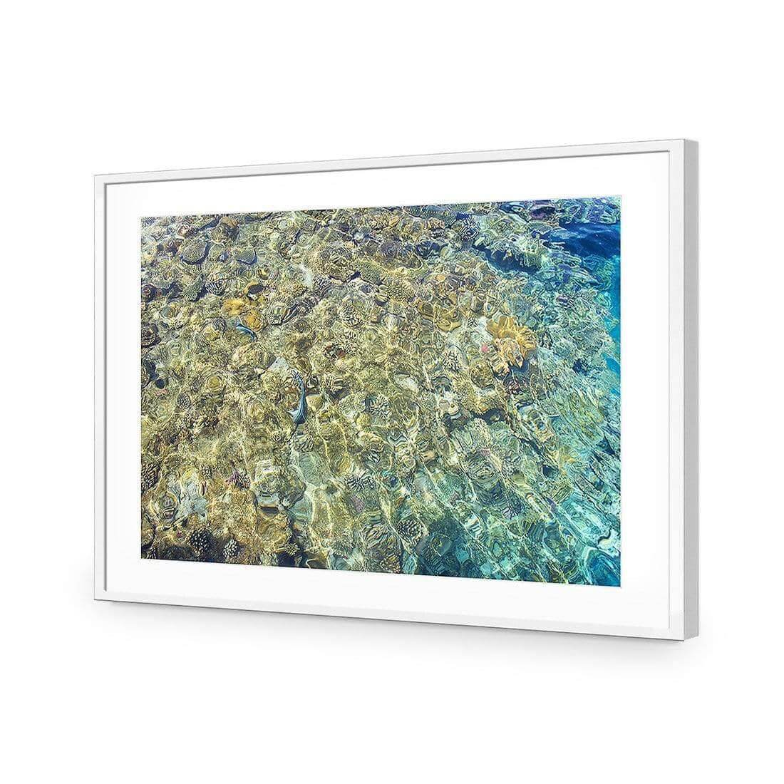 Coral Shallows | Classic Acrylic | Flat Frame With Border | White