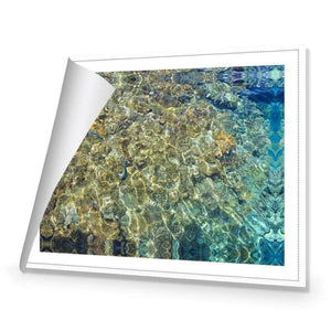 Coral Shallows | Classic Canvas | No Frame | Rolled Canvas