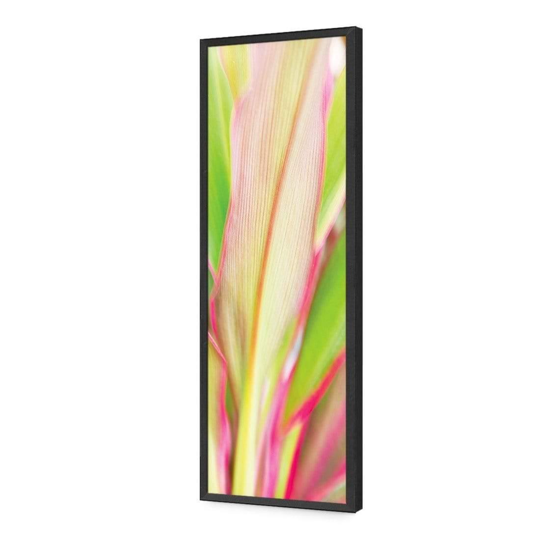 Cordyline (long) - Wall Art Designs - 1213_AL_V WAD_AP - 030 - EDG_90x30_S - 2538 - BLK