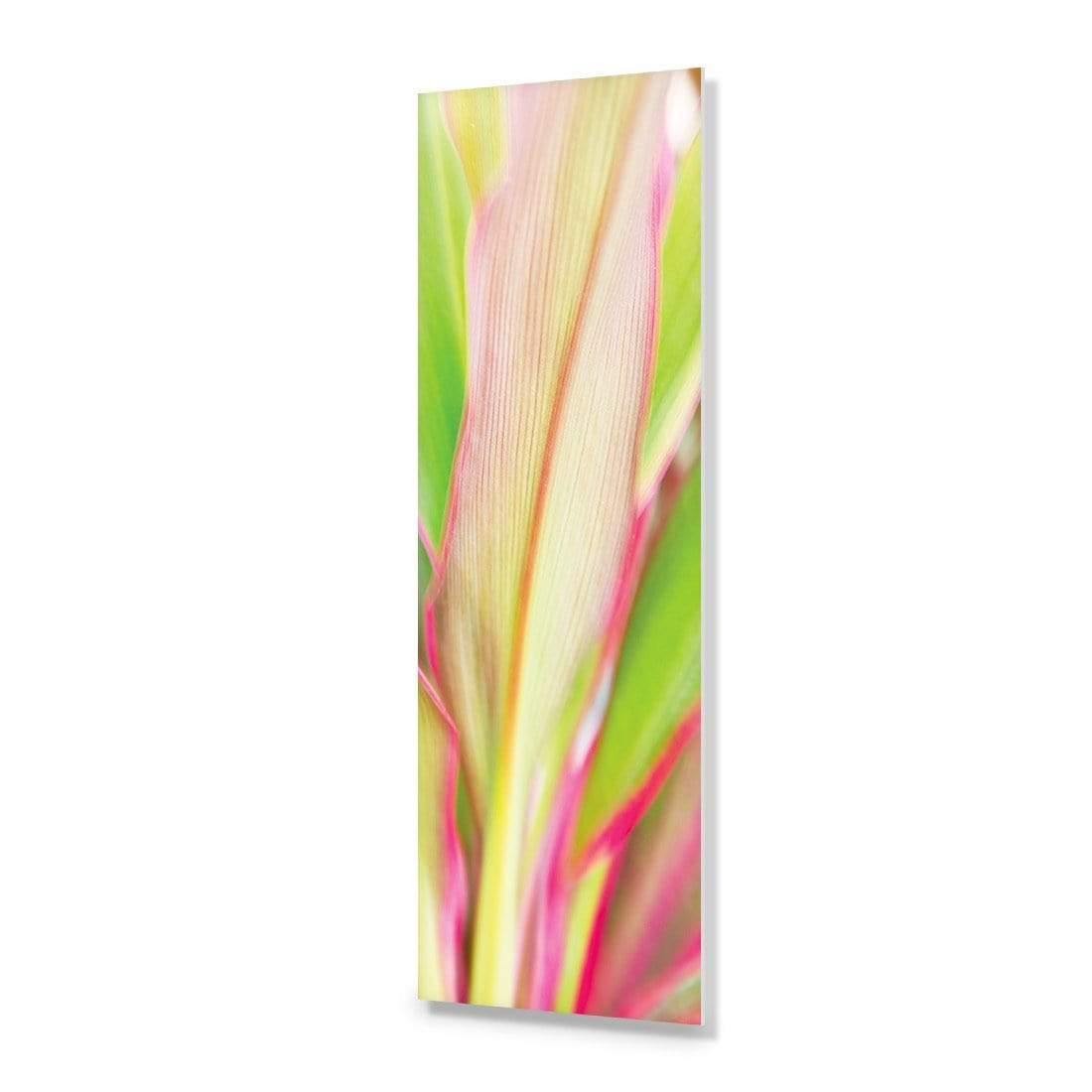 Cordyline (long) - Wall Art Designs - 1213_AL_V WAD_AP - 030 - EDG_90x30_NONE