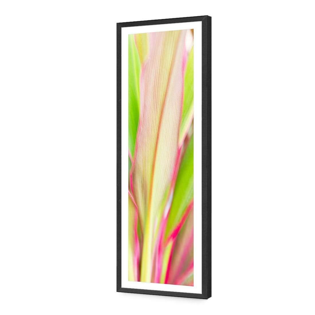 Cordyline (long) - Wall Art Designs - 1213_AL_V WAD_AP - 030 - MAT_90x30_S - 2538 - BLK