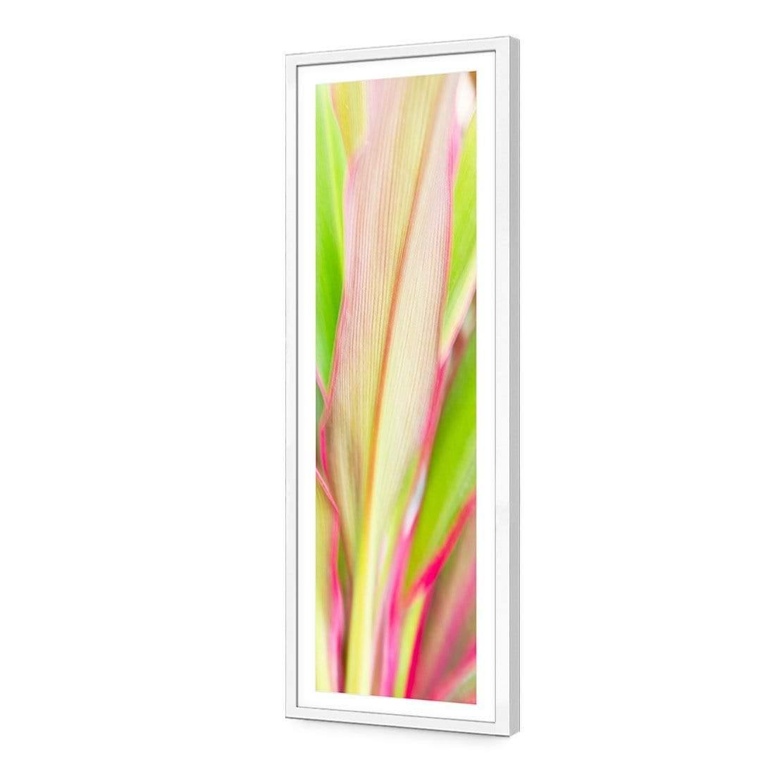 Cordyline (long) - Wall Art Designs - 1213_AL_V WAD_AP - 030 - MAT_90x30_S - 2538 - WHT