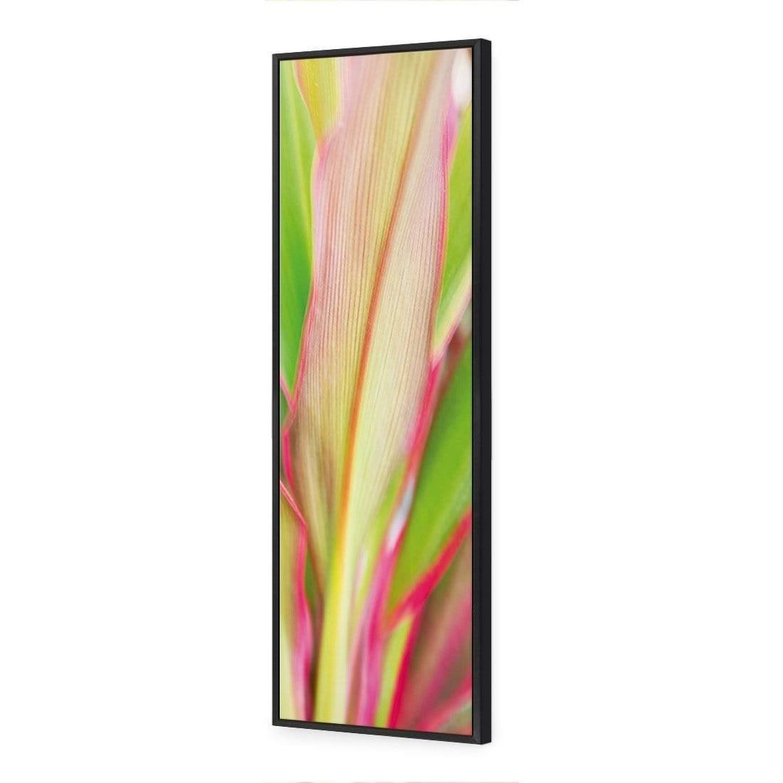 Cordyline (long) | Wall Art Designs