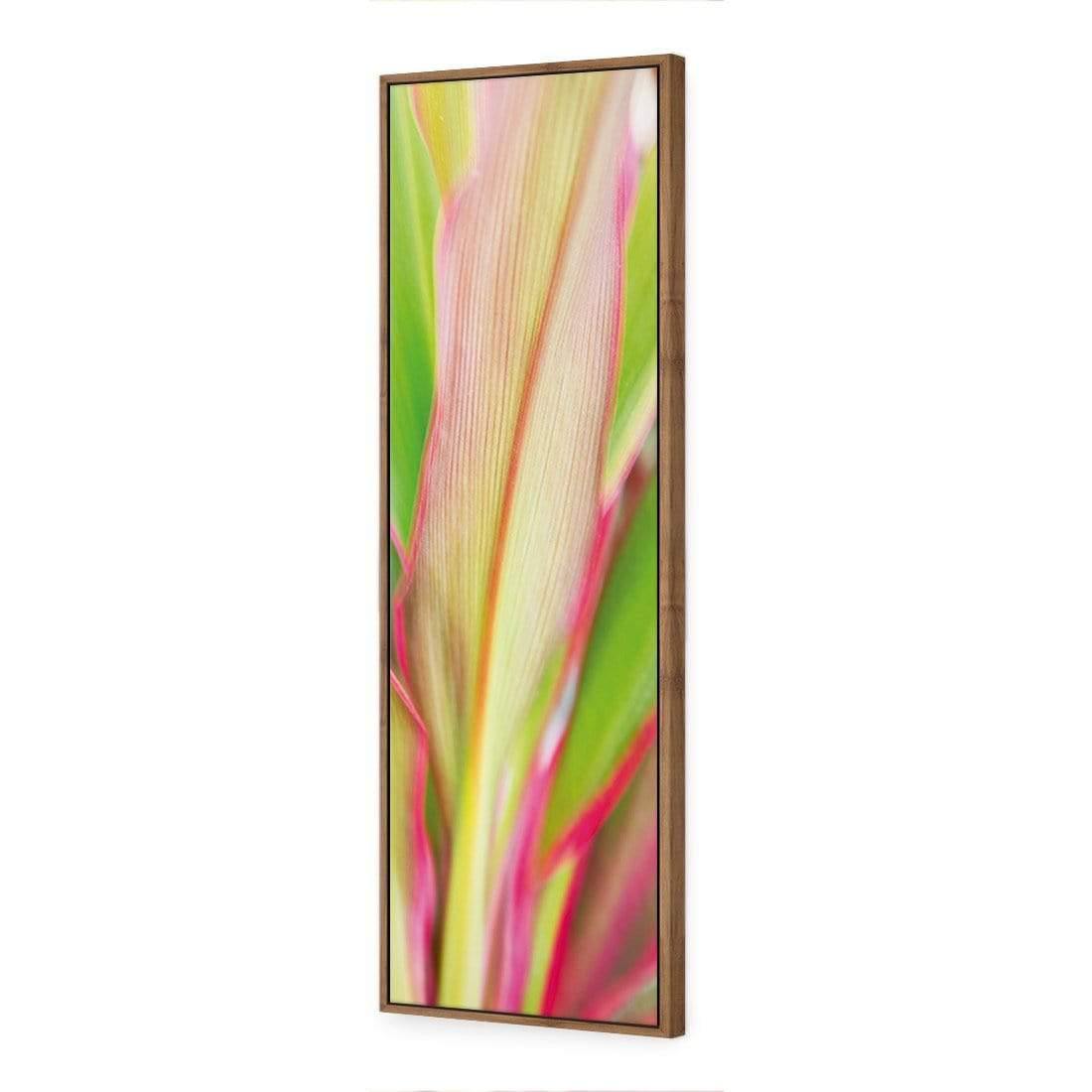 Cordyline (long) - Wall Art Designs - 1213_AL_V WAD_CP - MPY - 260 - M - S - S_60x20_S - 1550 - NAT