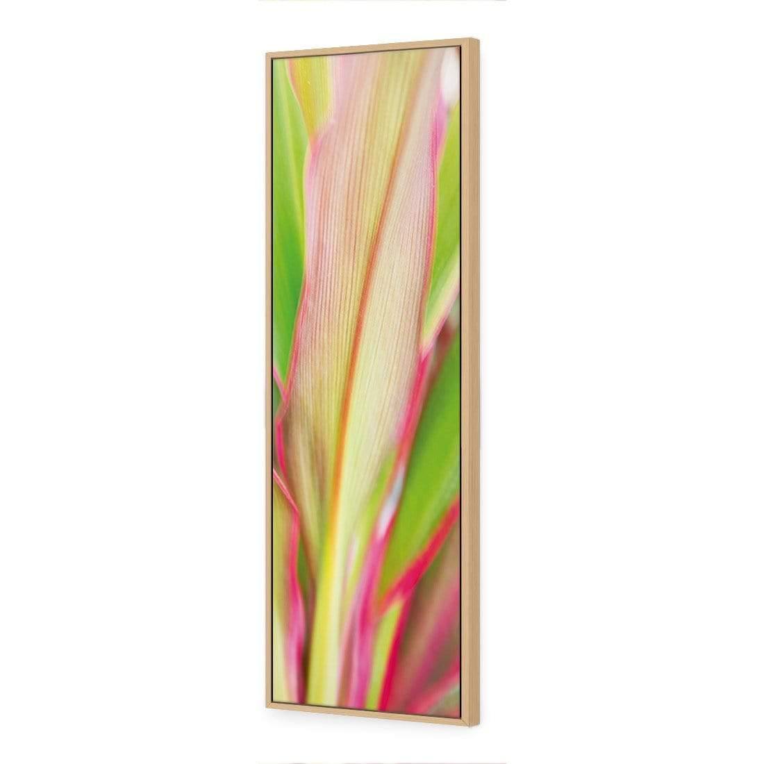 Cordyline (long) - Wall Art Designs - 1213_AL_V WAD_CP - MPY - 260 - M - S - S_60x20_S - 1550 - OAK