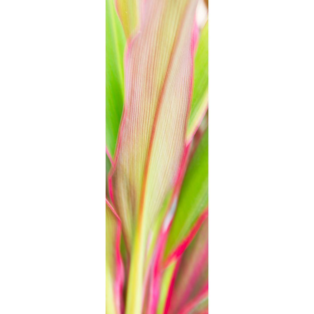 Cordyline (long) - Wall Art Designs - 1213_AL_V WAD_CP - MPY - 260 - M - S - S_60x20_NONE