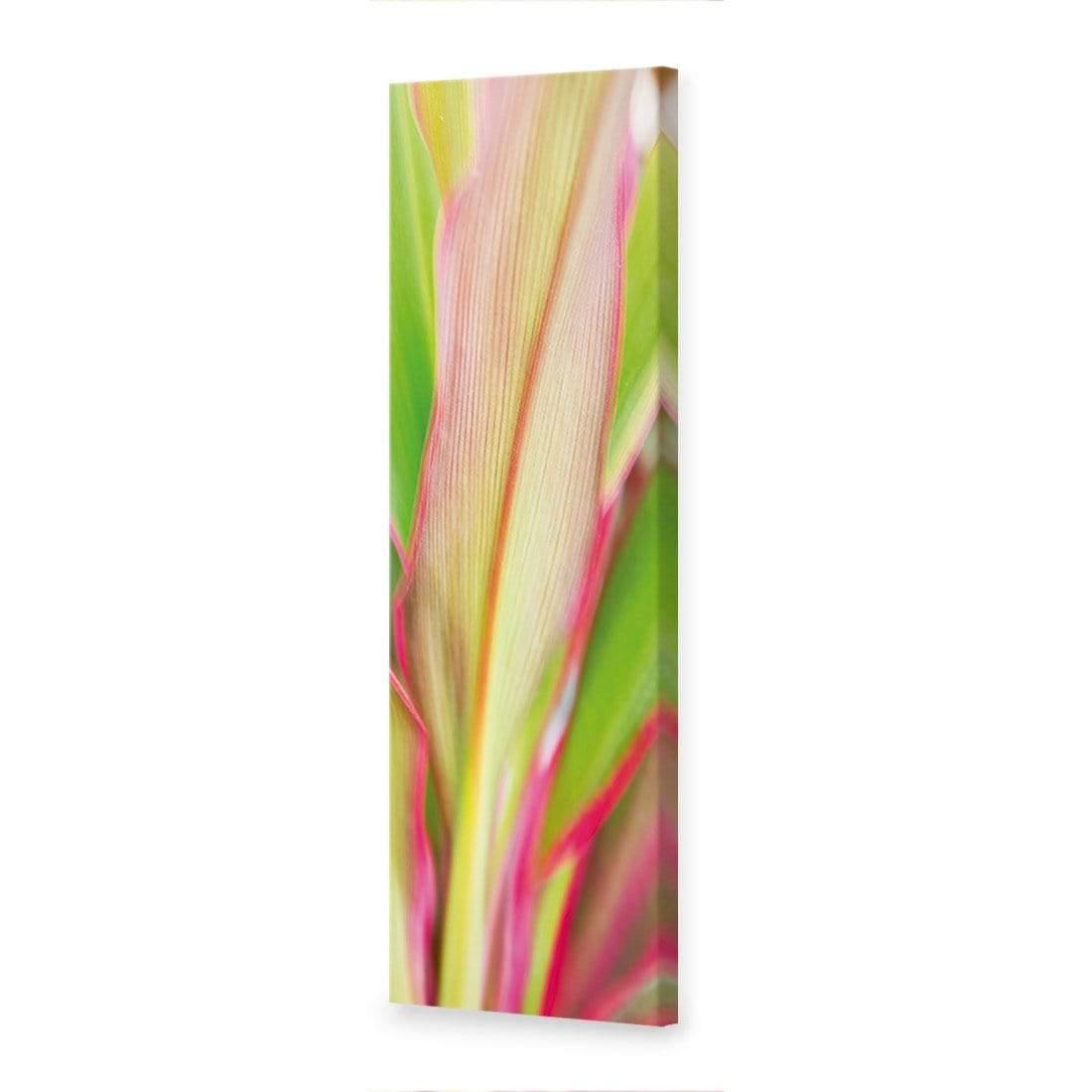 Cordyline (long) - Wall Art Designs - 1213_AL_V WAD_CP - MPY - 260 - M - S - S_60x20_NONE