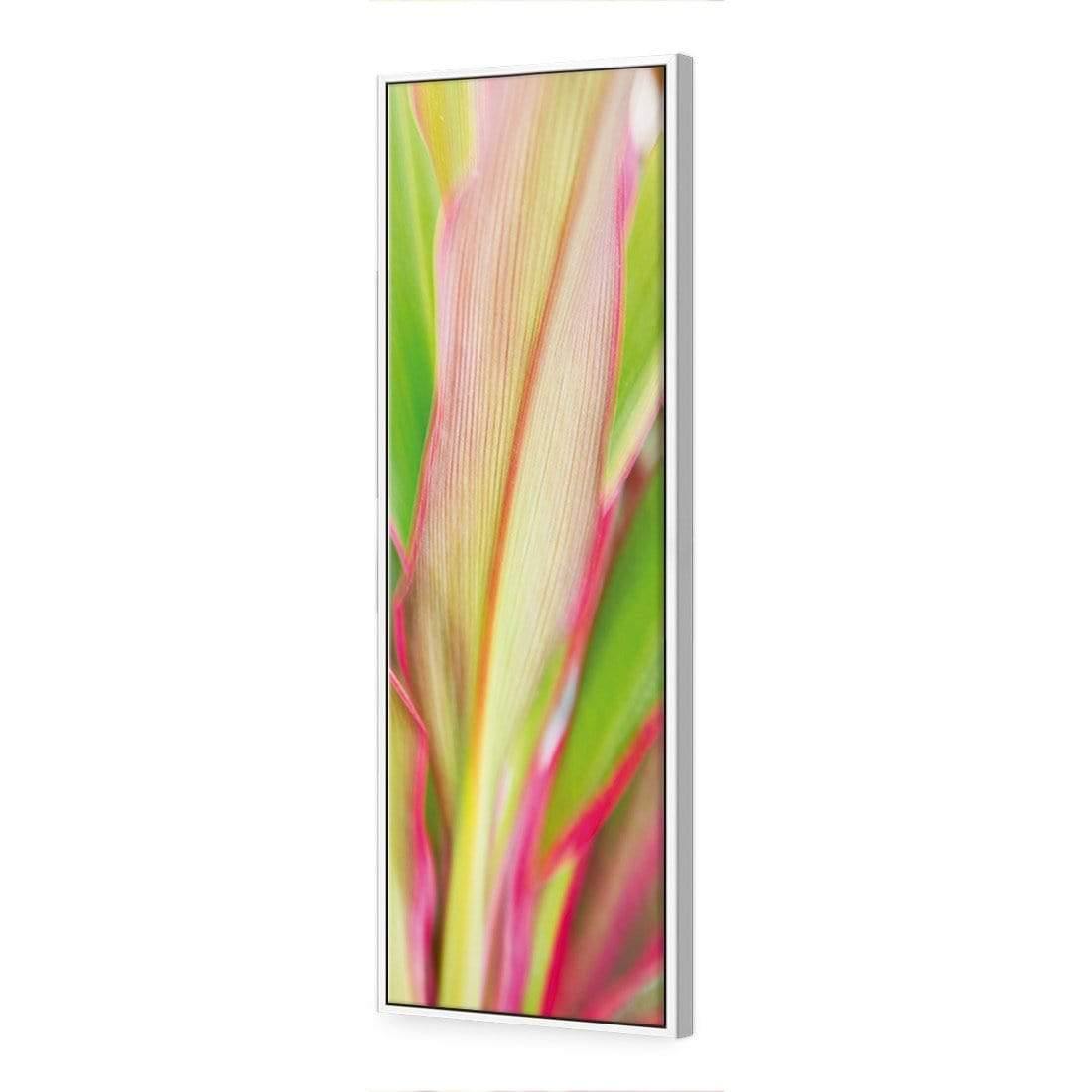 Cordyline (long) - Wall Art Designs - 1213_AL_V WAD_CP - MPY - 260 - M - S - S_60x20_S - 1550 - WHT