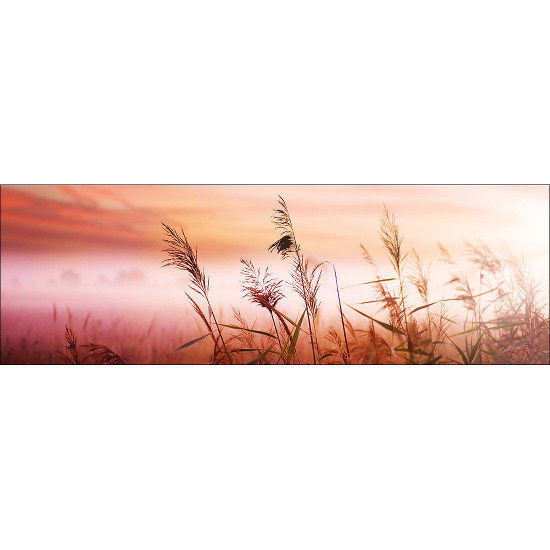 Corn Dusk Canvas Art - Wall Art Designs - 1413_AL_H WAD_CP - MPY - 260 - M - S - S_60x20_NONE