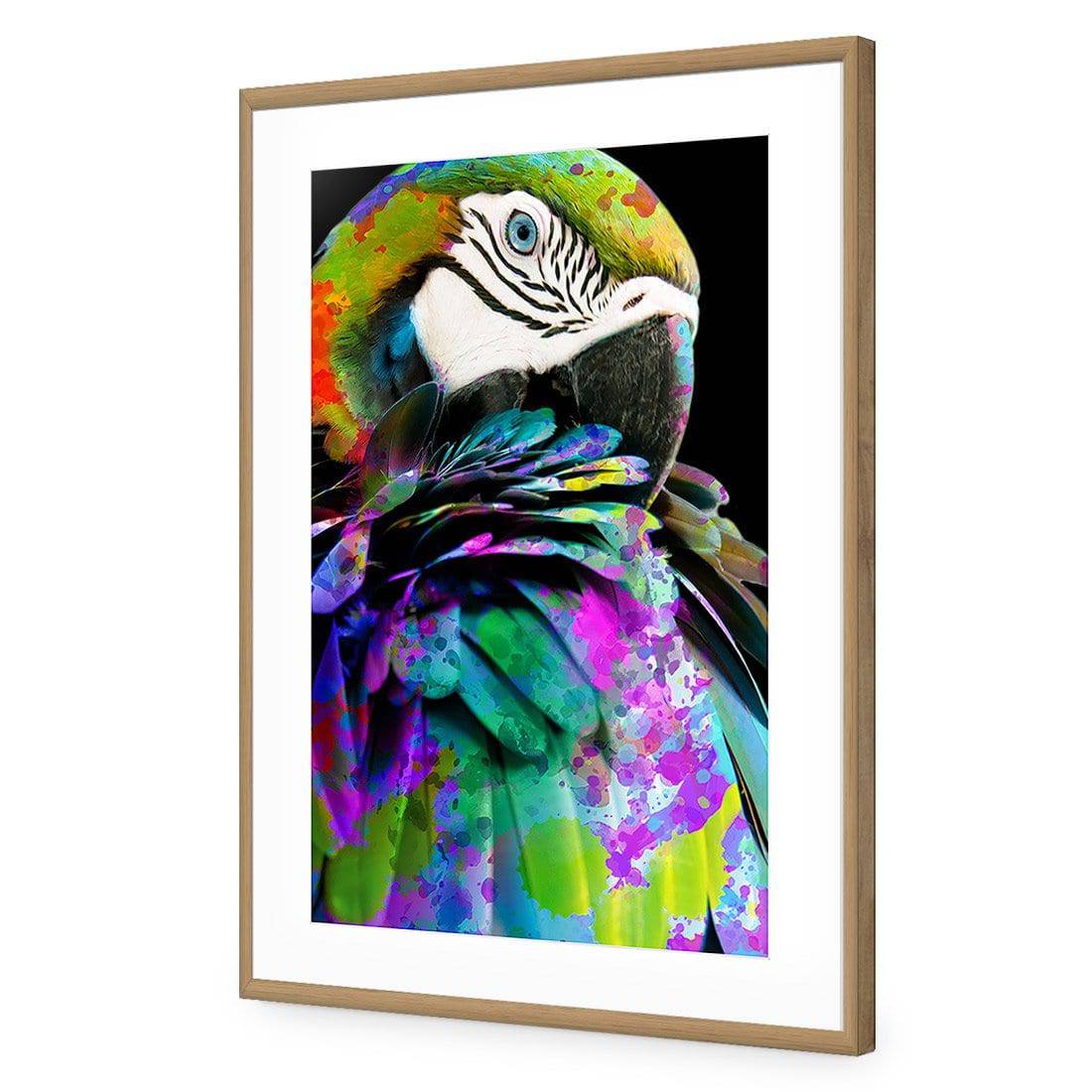 Coy Macaw | Standard Acrylic | Flat Frame With Border | Oak