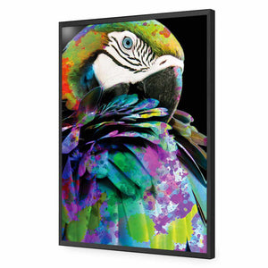 Coy Macaw | Standard Acrylic | Flat Frame No Border | White
