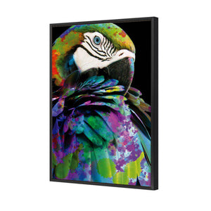 Coy Macaw | Standard Canvas | Floating Frame | Black