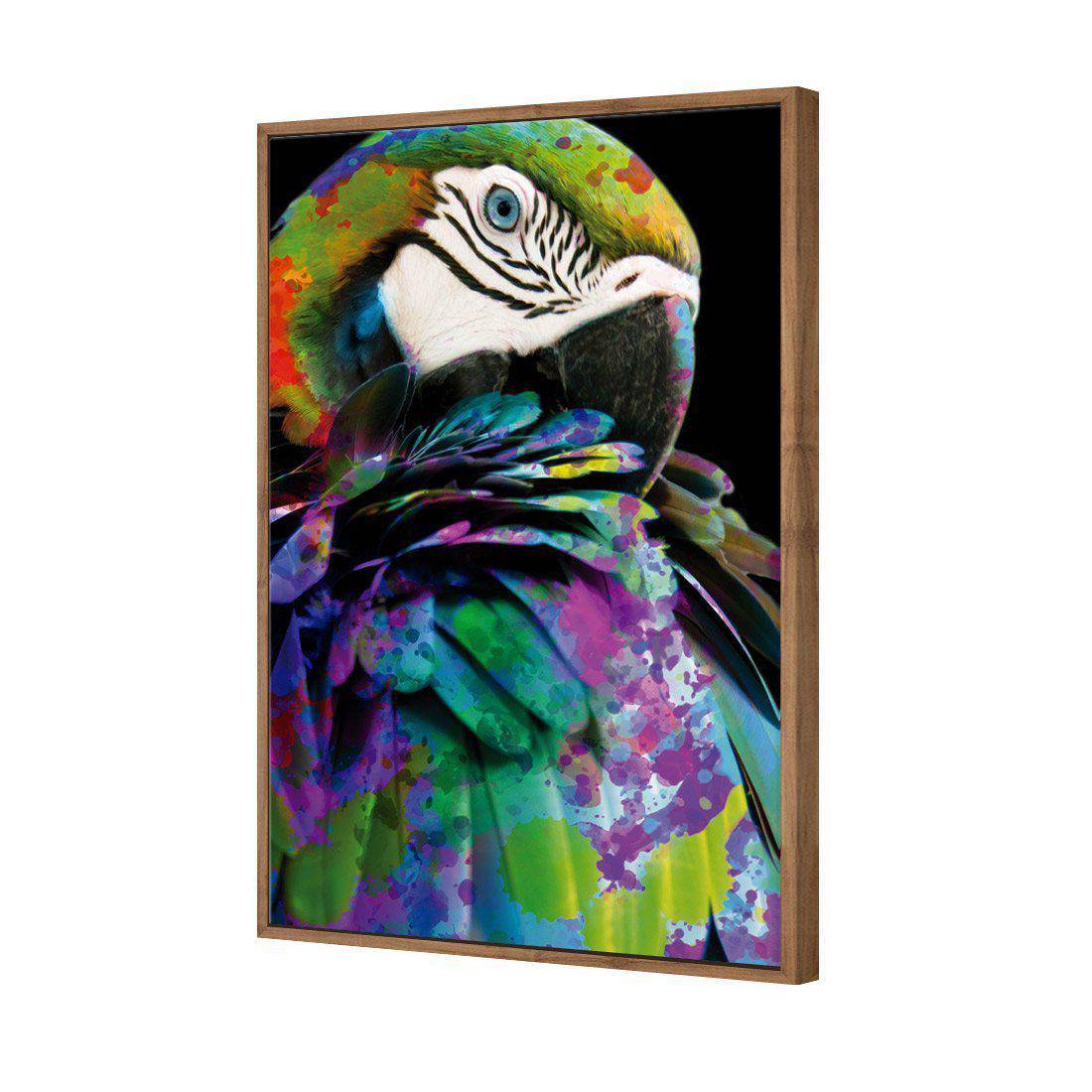 Coy Macaw | Standard Canvas | Floating Frame | Natural