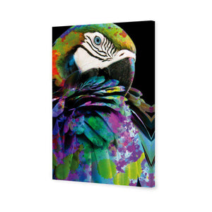 Coy Macaw | Standard Canvas | No Frame | Stretched Canvas