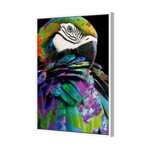 Coy Macaw | Standard Canvas | Floating Frame | White