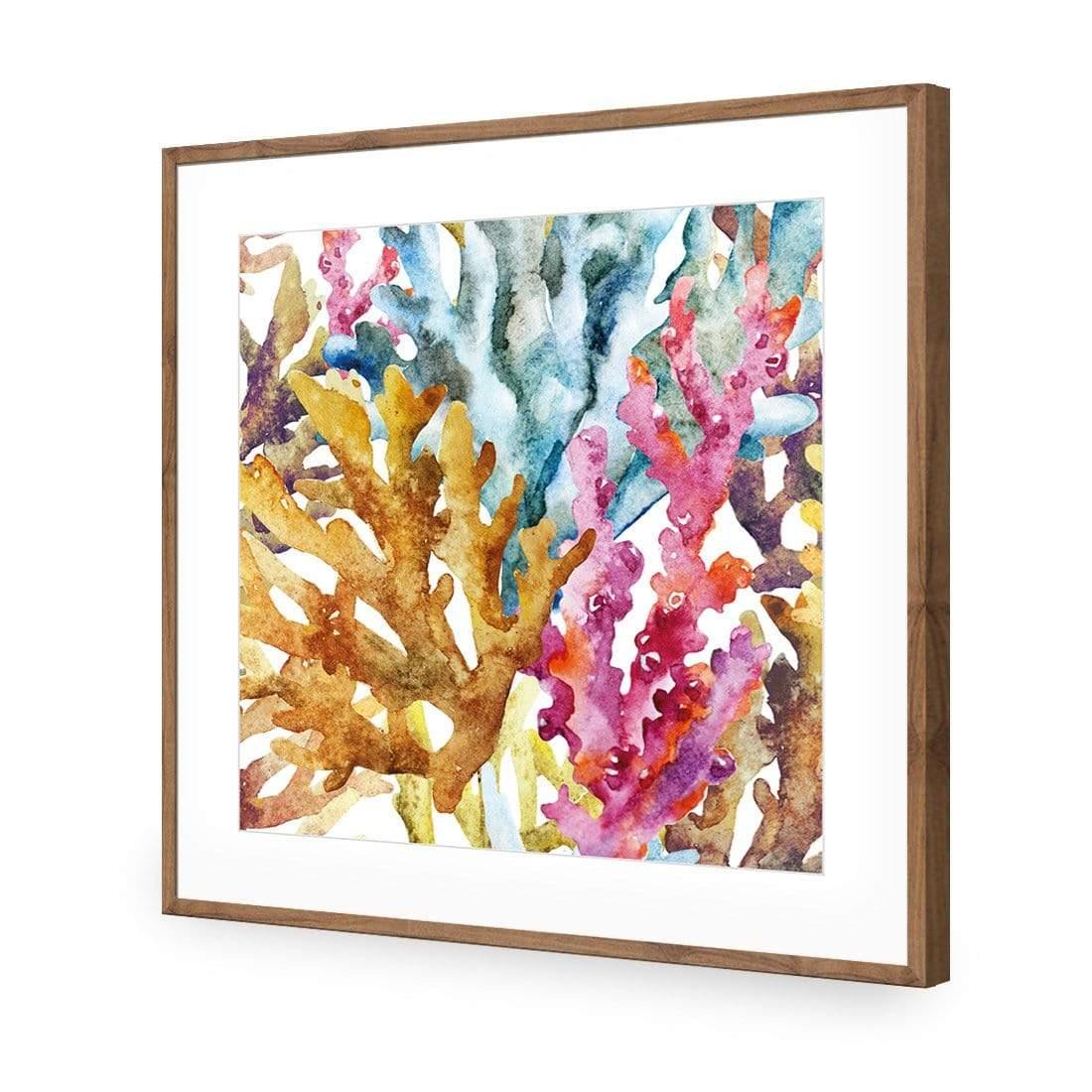 Creative Coral (square) - Wall Art Designs - 2436_AS_Q WAD_AP - 030 - MAT_37x37_S - 2538 - NAT