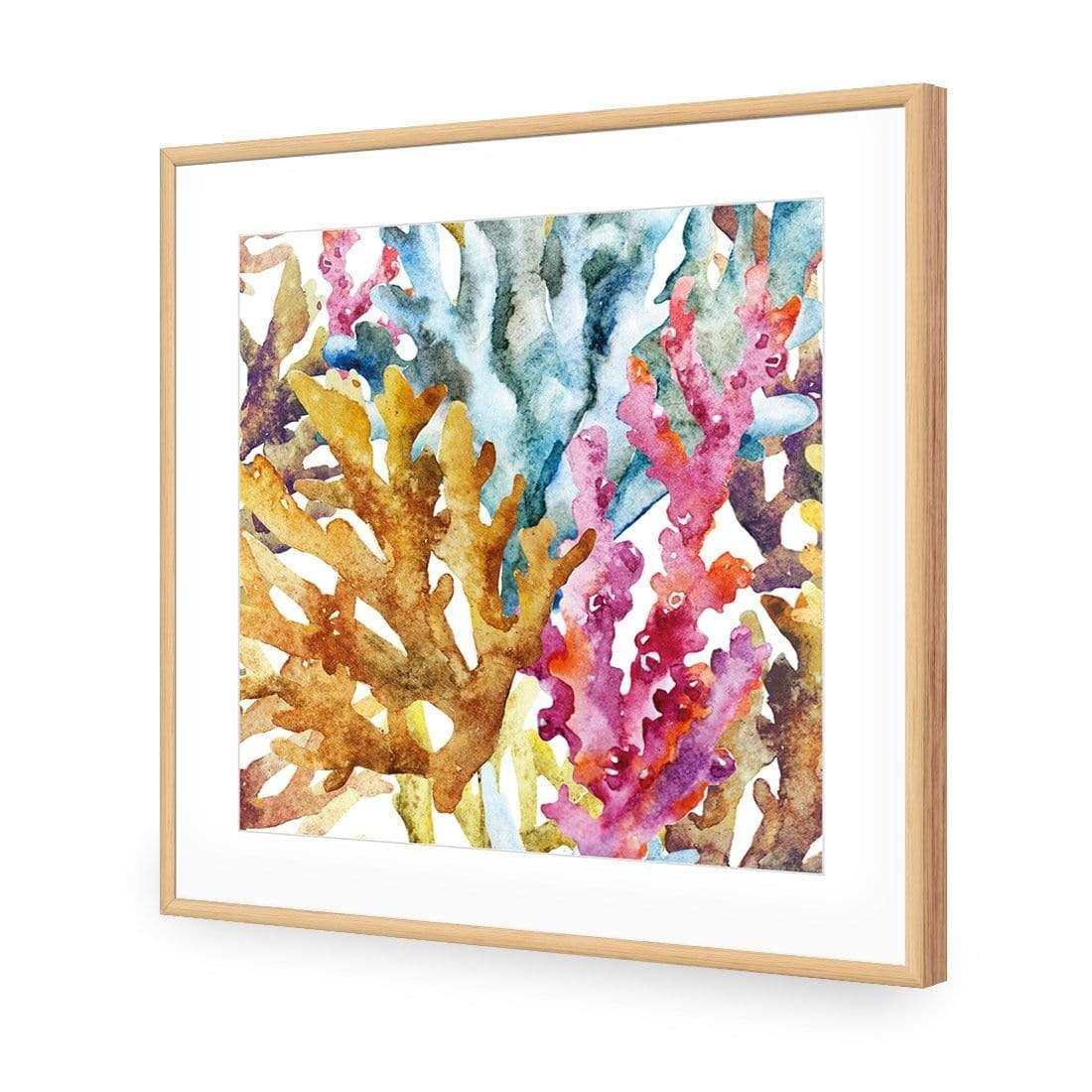 Creative Coral (square) - Wall Art Designs - 2436_AS_Q WAD_AP - 030 - MAT_37x37_S - 2538 - OAK