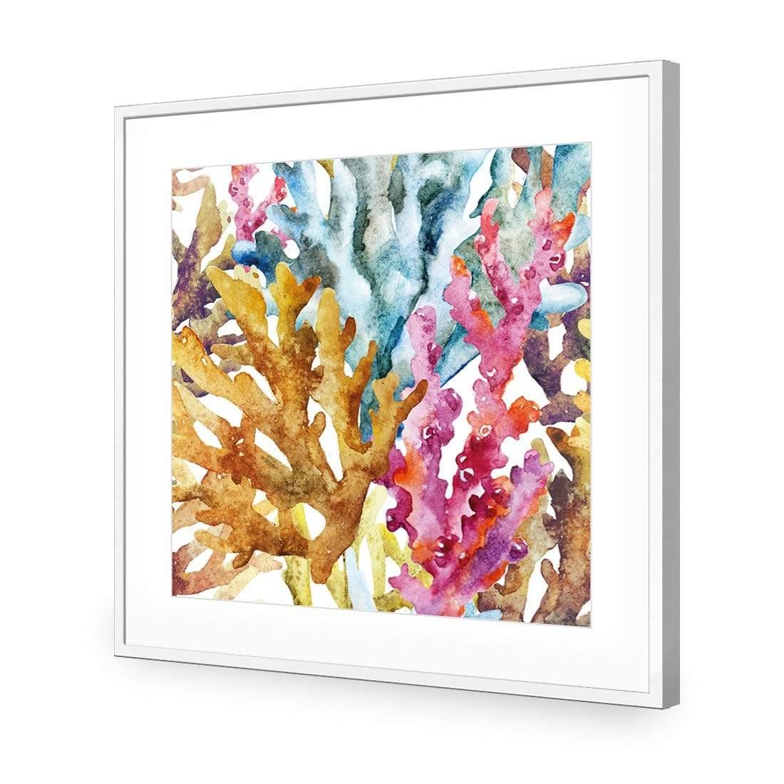 Creative Coral (square) - Wall Art Designs - 2436_AS_Q WAD_AP - 030 - MAT_37x37_S - 2538 - WHT