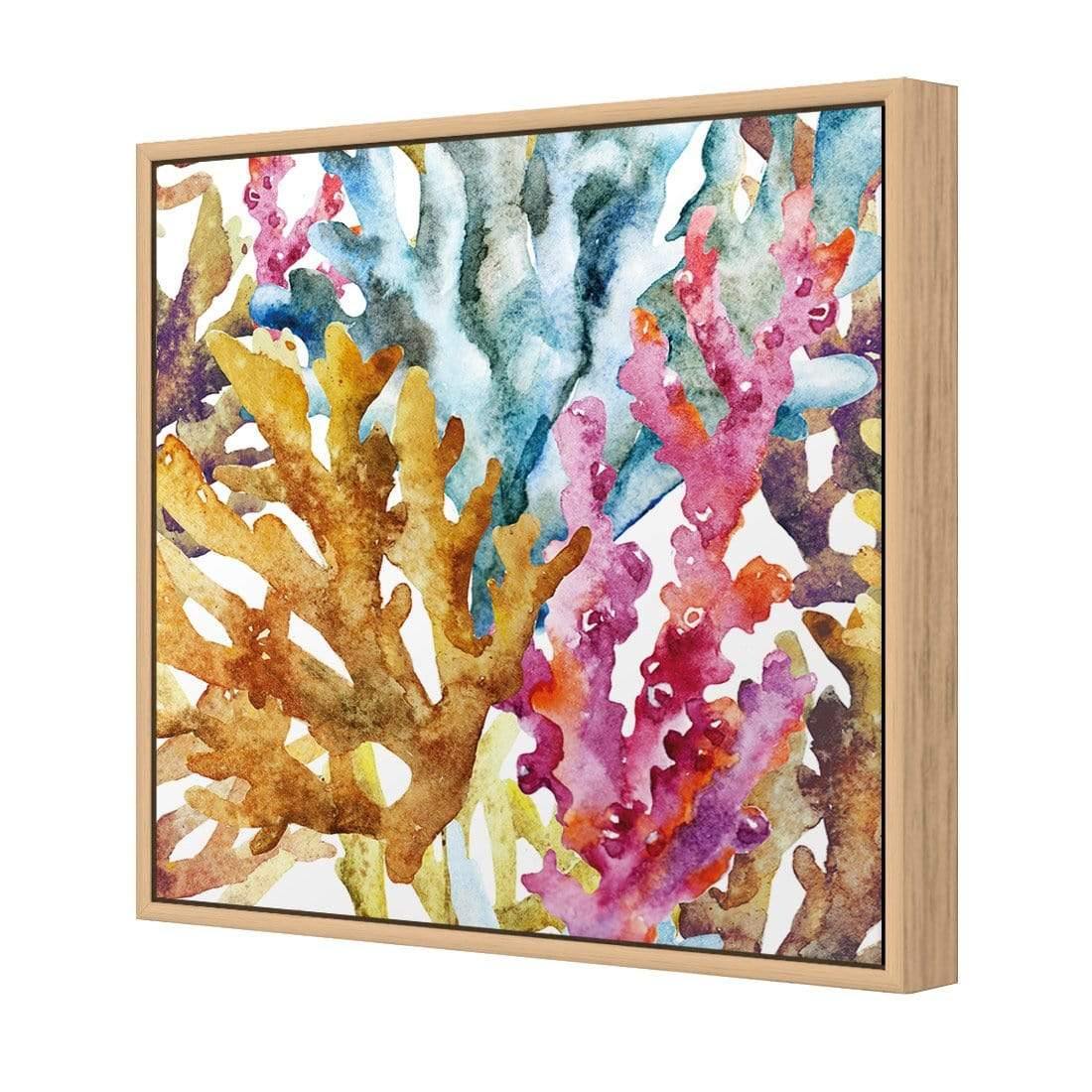 Creative Coral (square) - Wall Art Designs - 2436_AS_Q WAD_CP - MPY - 260 - M - S - S_37x37_S - 1550 - OAK