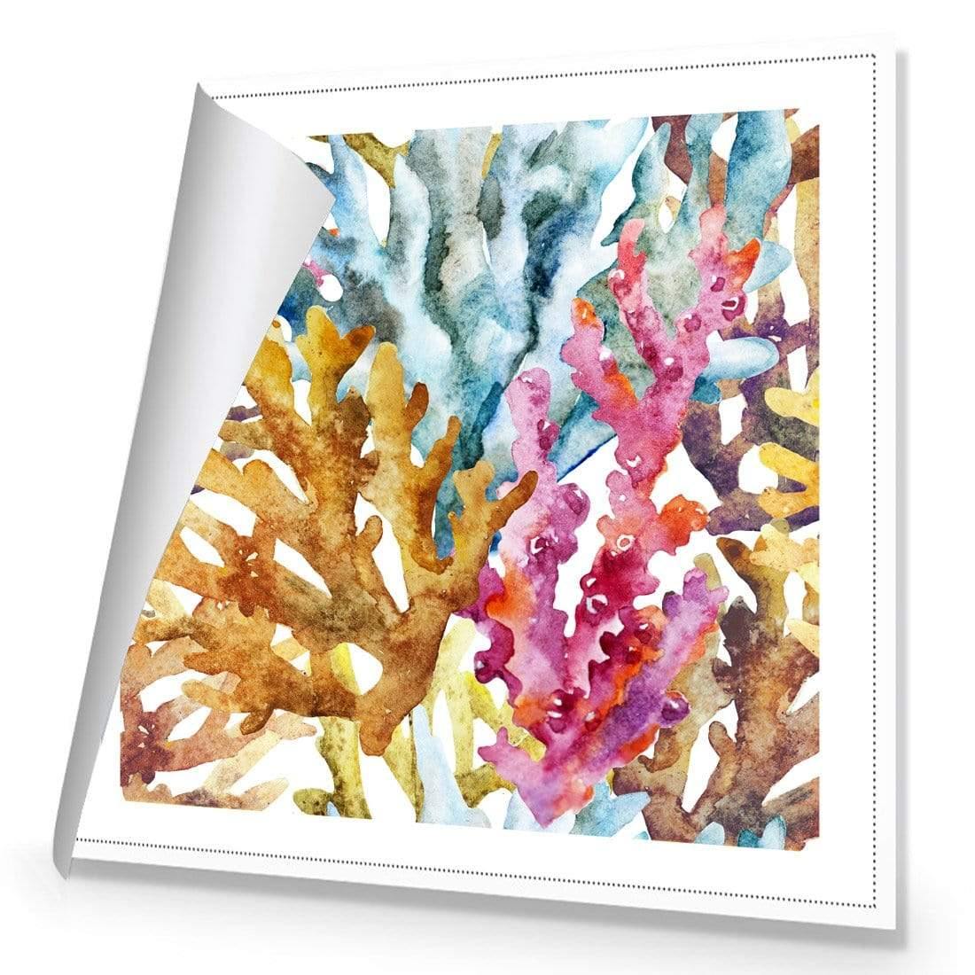 Creative Coral (square) - Wall Art Designs - 2436_AS_Q WAD_CP - MPY - 260 - M - R_37x37_NONE